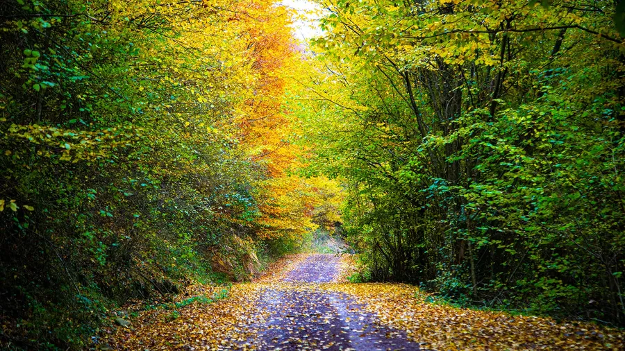 2-Day Autumn Photography Route in İstanbul